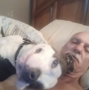 Meet your Posher, Tim